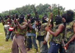 مقتل 38 عنصرا من بوكو حرام في اشتباكات جنوب شرق النيجر