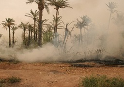 حريق هائل يخلف خسائر فادحة بأشجار النخيل والمنازل بجزيرة “دفوي” بالسودان