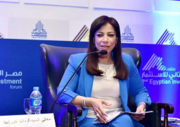 “الاستثمار” تعلن زيادة 18 % في الاستثمار الاجنبي الموجه لتأسيس الشركات