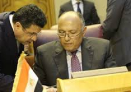 شكرى يرأس أول مشاركة مصرية فى اجتماعات وزراء خارجية مجموعة العشرين