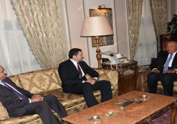 شكري يؤكد على مخاطر رهن المسار السياسي في سوريا بالتطورات العسكرية