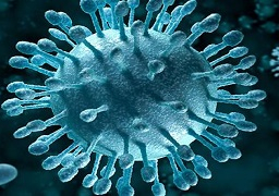 علاج 1000 مواطن من فيروسي سي بدعم من صندوق تحيا مصر بالمنيا