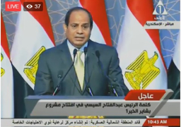 بالفيديو …. السيسى : لدينا خطة لنشر الجيش بمصر كلها خلال 6 ساعات لحماية الدولة