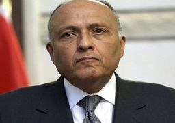 وزير الخارجية يلتقى اليوم مستشار الأمن القومى الألمانى بمقر الوزارة