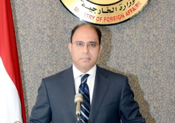 الخارجية ترد بحزم علي انتقادات للسياسة الداخلية والخارجية لمصر