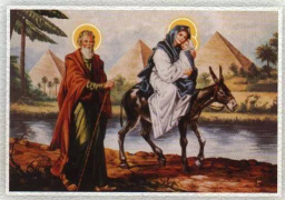 البابا تواضروس يبحث مع وفد من وزارة السياحة إحياء مسار العائلة المقدسة