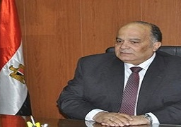 اعدام ١٢ طن لحوم وأسماك ودواجن غير صالحة للاستهلاك الآدمي بالدقهلية