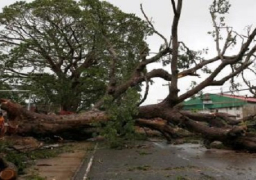 الإعصار هايما يقتل 12 شخصا ويدمر مساحات شاسعة من حقول الأرز في الفلبين