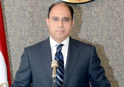 الخارجية تعرب عن انزعاجها من البيان التحذيرى للسفارة الأمريكية بالقاهرة
