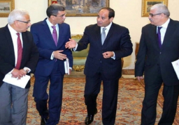 الرئيس السيسى : أى محاولات خبيثة من جانب أهل الشر تستهدف أمن واستقرار الوطن مصيرها الفشل