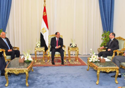 السيسي لرئيس البرلمان العراقي: مصر تدعم وحدة وسيادة أراضيكم