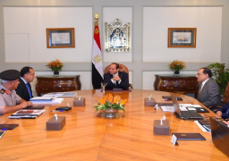 الرئيس يناقش معايير تصميم المباني بالحي الحكومي بالعاصمة الإدارية الجديدة