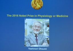 منح جائزة نوبل للطب للعام 2016 الى الياباني يوشينوري اوسومي