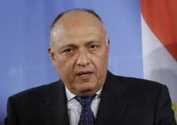 شكري : هناك مسئولية جماعية على الأطراف الدولية للتوصل لحل لأزمة سوريا