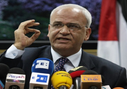 عريقات يدعو إلى مساءلة ومحاسبة الحكومة الإسرائيلية