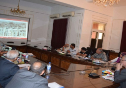 محافظ المنيا يستعرض الموقف التنفيذي للمرحلتين الثانية والثالثة لتطوير عشش محفوظ