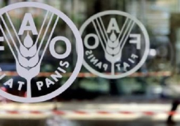 محافظ بني سويف يبحث مع وفد ” الفاو ” سبل التعاون للنهوض بالمزارعين الصغار