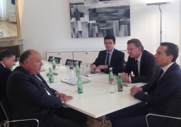 وزير الخارجية يلتقي مستشار النمسا في فيينا