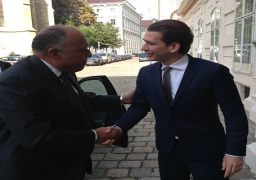 وزير الخارجية يلتقي نظيره النمساوي في فيينا