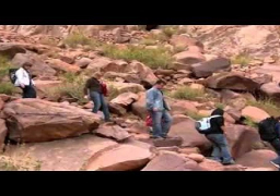 215 سائحا يزورون سانت كاترين