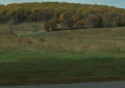 في بنسلفانيا المتأرجحة .. مصير ترامب وكلينتون بيد الريف