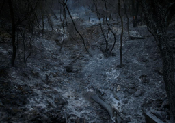 إسرائيل تعلن إخماد جميع حرائقها