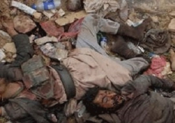 ارتفاع عدد ضحايا الغارات على حلب وريفها إلى 27 قتيلا بينهم نساء وأطفال