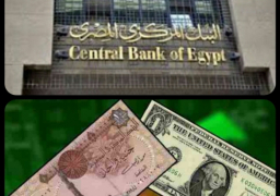 البنك المركزي يخفض قيمة الجنيه 48 %.. والدولار يسجل 13 جنيها