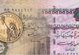 ماذا يعني “تحرير الجنيه المصري”؟