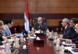 الحكومة تشكل مجموعة عمل للتعاقد على الأدوية المطلوب استيرادها لمدة عام