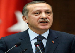 أردوغان يدعو لإعادة تقييم اقتراح إقامة منطقة حظر جوي شمال سوريا