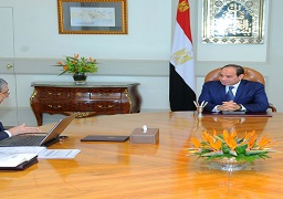 الرئيس يوجه بتحمل الدولة أعباء القرارات الاقتصادية الاخيرة على قطاع الكهرباء وعدم زيادة أسعارها