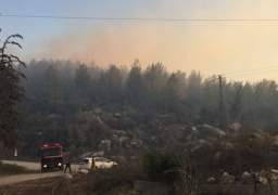 السلطات الإسرائيلية تعلن إصابة 136 شخصا في مدينة حيفا بسبب حرائق