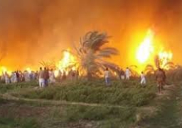 السيطرة على حريق بمزرعة للنخيل في الوادي الجديد