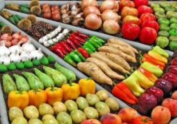 وفد روسي يزور القاهرة لبحث اعادة تصدير المنتجات المصرية لموسكو