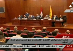 بالفيديو.. عامر يكشف أن العام الحالي شهد أعلى استثمارات أجنبية منذ 10 سنوات