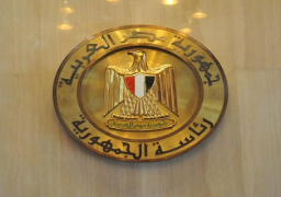 رئاسة الجمهورية تبحث رؤى الشباب حول القضاء على الأمية بمشاركة 23 حزبا