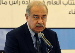 رئيس الوزراء يصدر قرارا في شأن تنظيم استيراد بعض السلع الزراعية الاستراتيجية