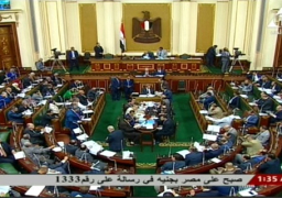 رئيس لجنة الشباب بالنواب يطالب بسرعة عودة الجماهير لملاعب كرة القدم