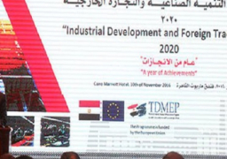 رفع معدلات استثمار القطاعين العام والخاص بالصناعة إلى 100 مليار جنيه بنهاية 2020