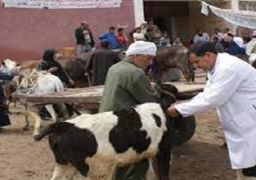 مديرية الطب البيطري بأسيوط تستعد لمواجهة الأمراض الوبائية خلال فصل الشتاء