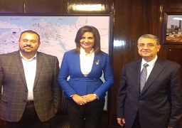 وزيرا الهجرة والكهرباء يستعرضان مقترح العالم المصري هشام العسكري لتصميم “اطلس شمسي”