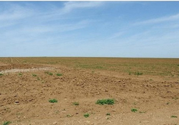 “الزراعة” تعلن عن تيسيرات جديدة لإقامة المشروعات الزراعية بالأراضي القديمة والجديدة