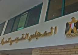 “قومي المرأة” ببورسعيد يجري 1262 زيارة منزلية لتوعية السيدات بترشيد الاستهلاك