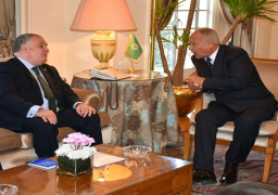 أبو الغيط يؤكد أهمية مخاطبة الاحتياجات الإنسانية للاجئين العرب