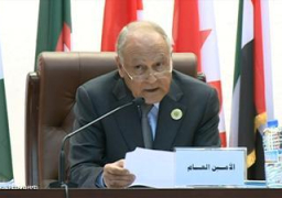 أبو الغيط يؤكد أهمية جهود اجتماع رؤساء البرلمانات العربية