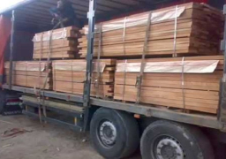 سوهاج تحتفل غدا بتصدير أول شحنة أخشاب مصنعة من تدوير المخلفات الزراعية