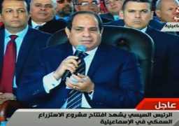 السيسي: الاجهزة الرقابية لن تستطيع مجابهة الفساد وحدها