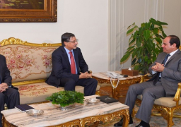 الرئيس يستقبل مدير عام الوكالة الدولية للطاقة المُتجددة