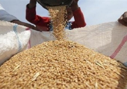 إحتياطي مصر من القمح يكفي 4 أشهر
